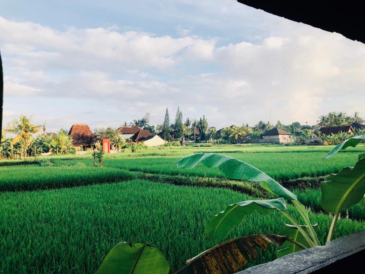Umagama Villas Ubud Kültér fotó