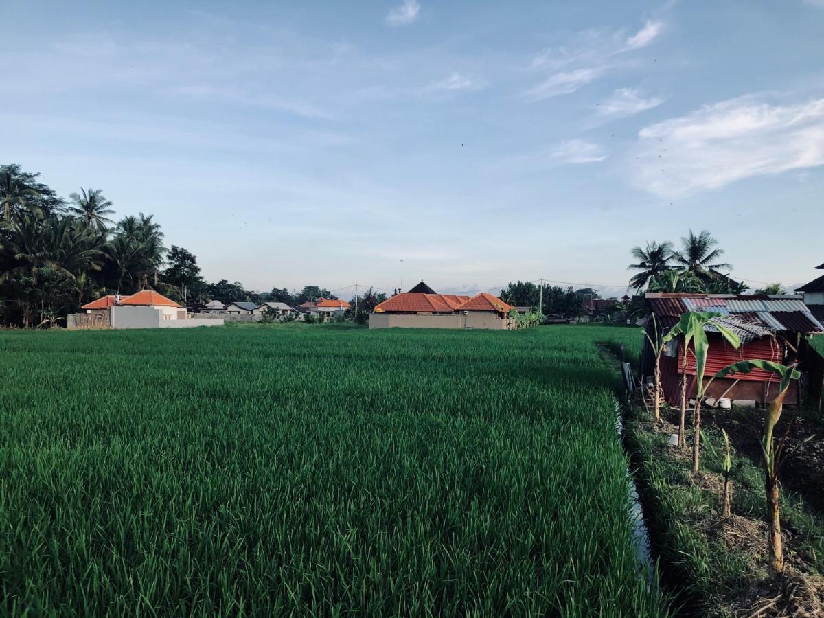 Umagama Villas Ubud Kültér fotó